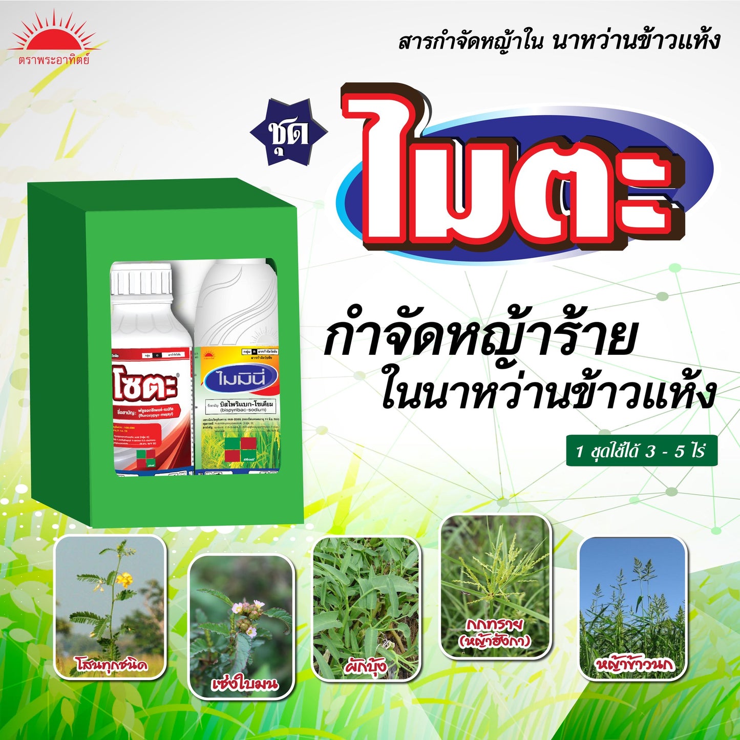 นิโกะ ขนาด 500cc