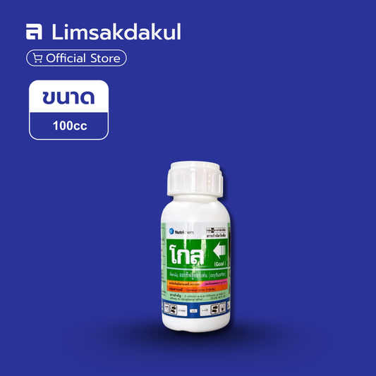 โกล 2 อี ขนาด 100cc