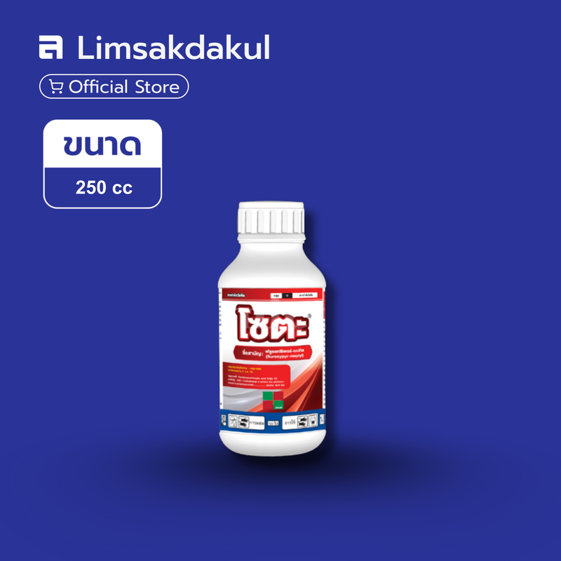 โซตะ ขนาด 250cc