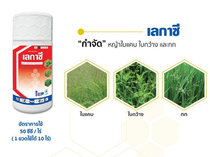 เลกาซี่ ขนาด 500cc