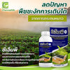 ซีเอ็มพี ขนาด 1 ลิตร