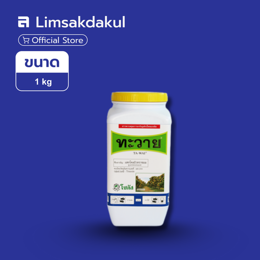 ทะวายผง ขนาด 1 กิโลกรัม