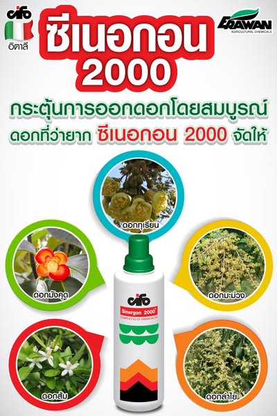 ซีเนอกอน 2000 ขนาด 1 ลิตร