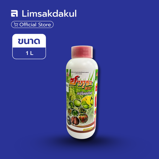 ซากุระแดง ขนาด 1 ลิตร