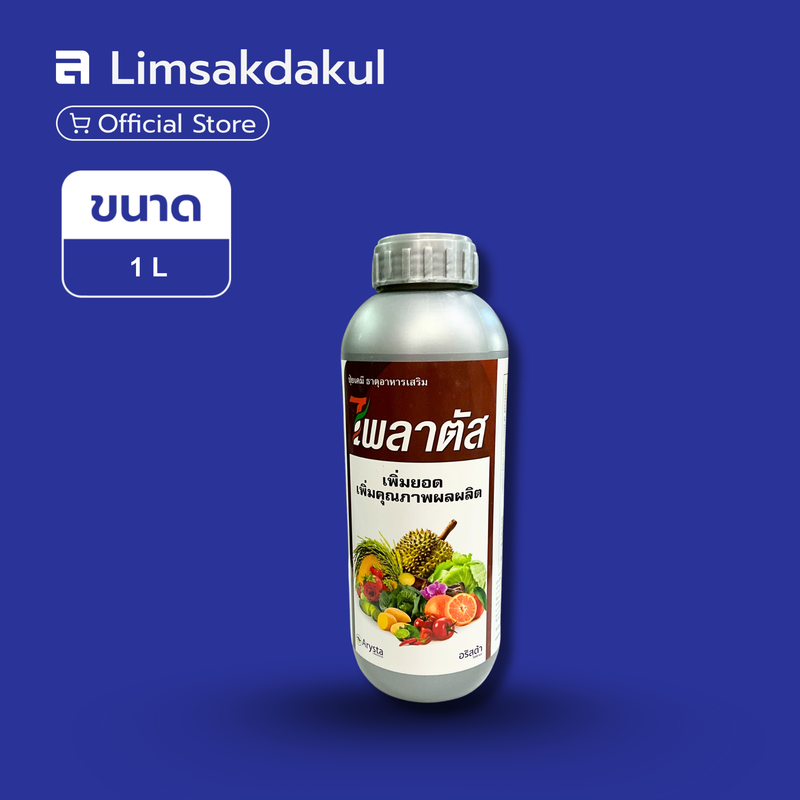 ไพลาตัส ขนาด 1 ลิตร