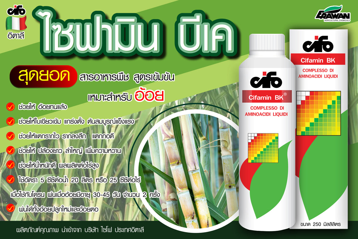ไซฟามิน บีเค ขนาด 250 ซีซี