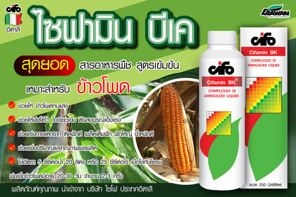 ไซฟามิน บีเค ขนาด 250 ซีซี
