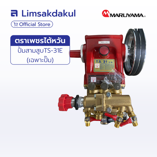 ปั๊มพ่นยา 3 สูบ ตราเพชร รุ่น TS-31E (ระบบออโตเมติก)