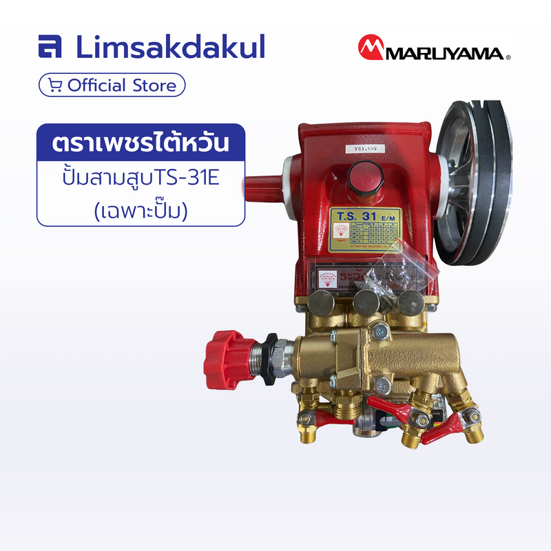 ปั๊มพ่นยา 3 สูบ ตราเพชร รุ่น TS-31E (ระบบออโตเมติก)