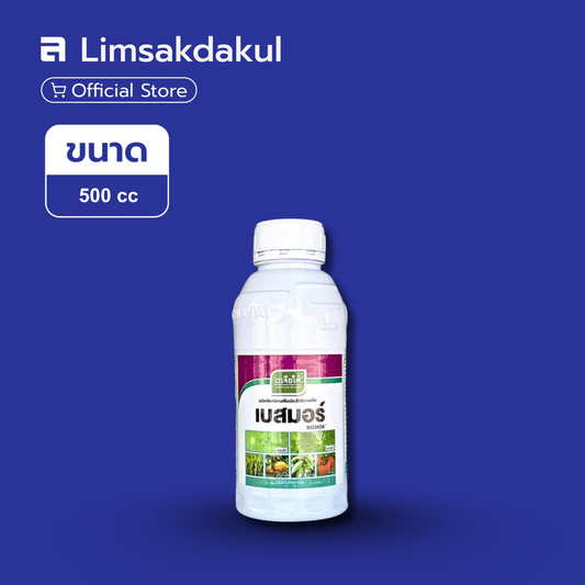 เบสมอร์ ขนาด 500cc