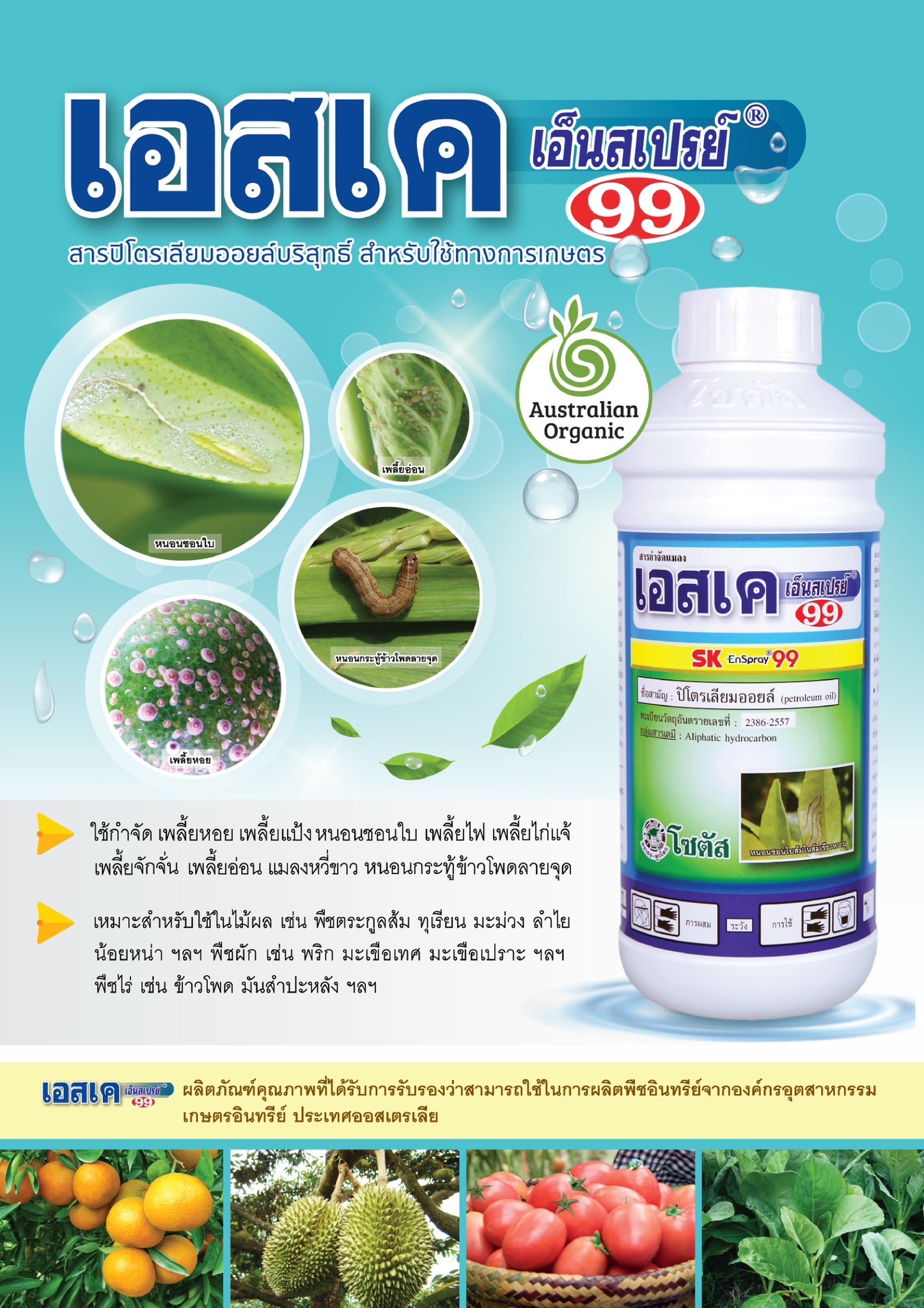 เอสเคเอ็นสเปรย์ ขนาด 1 ลิตร