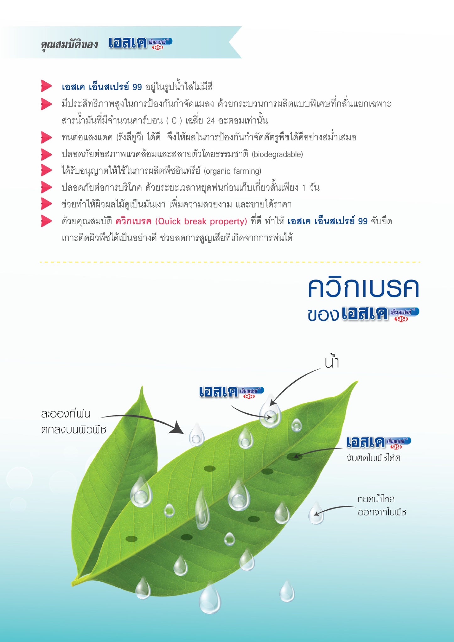 เอสเคเอ็นสเปรย์ ขนาด 1 ลิตร
