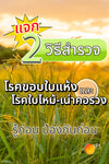คาซู่ ขนาด 1 ลิตร