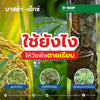 บาสต้า-เอ็กซ์ ขนาด 5 ลิตร