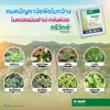 ทรีวิกซ์ ขนาด 10 กรัม
