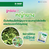 ทรีวิกซ์ ขนาด 10 กรัม