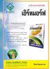 เอิร์ทมอร์ฟ ขนาด 1 กิโลกรัม