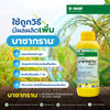 บาซากราน ขนาด 1 ลิตร
