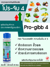 โปร-จิบ 4 ขนาด 100cc