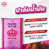 14-7-35 มงกุฎ ขนาด 50 กิโลกรัม