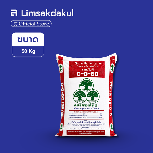 ปุ๋ย 0-0-60 สามต้นไม้ ขนาด 50 กิโลกรัม (เม็ดแดง)