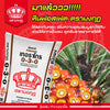 0-3-0 มงกุฎ ขนาด 50 กิโลกรัม