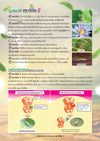 สตาร์เกิล-จี ขนาด 10 กิโลกรัม