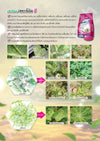 สตาร์เกิล-จี ขนาด 10 กิโลกรัม