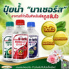 นาเซอร์ส พี-โฟกัส 10-18-4 ขนาด 5 ลิตร