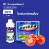 ชุดกำจัด “โรคใบหงิกเหลือง” ในมะเขือเทศ บริษัทโซตัส (โซเวล 1 ลิตร + สตาร์เกิล 1 กก.)