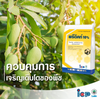 พรีดิคท์ 10% ขนาด 1 กิโลกรัม