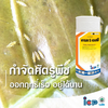 ชุดดูแลมะม่วงครบสูตร เพิ่มดอก เพิ่มผล ผลสวย คุณภาพส่งออก