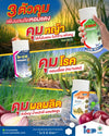 ราเซอร์ ขนาด 4 ลิตร