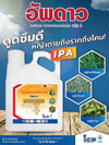 อัพดาว ขนาด 4 ลิตร