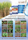 บาสต้า-เอ็กซ์ ขนาด 5 ลิตร