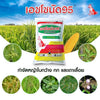 เอชโซนัด 95 ขนาด 1 กิโลกรัม