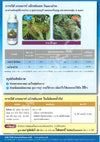 เกอมาร์ เอ็กซ์แอล ขนาด 1 ลิตร