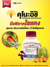 คุโนะอิชิ ขนาด 250cc