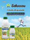 อีสไบออน ขนาด 250cc