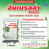 อัมเบรลร่า ขนาด 1 กิโลกรัม