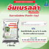 อัมเบรลร่า ขนาด 1 กิโลกรัม