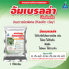 อัมเบรลร่า ขนาด 1 กิโลกรัม